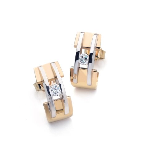 R&C 14K Bicolorgoud 'Zoe' Oorstekers 2*0.03ct River/Si OOR0053 003 BIC