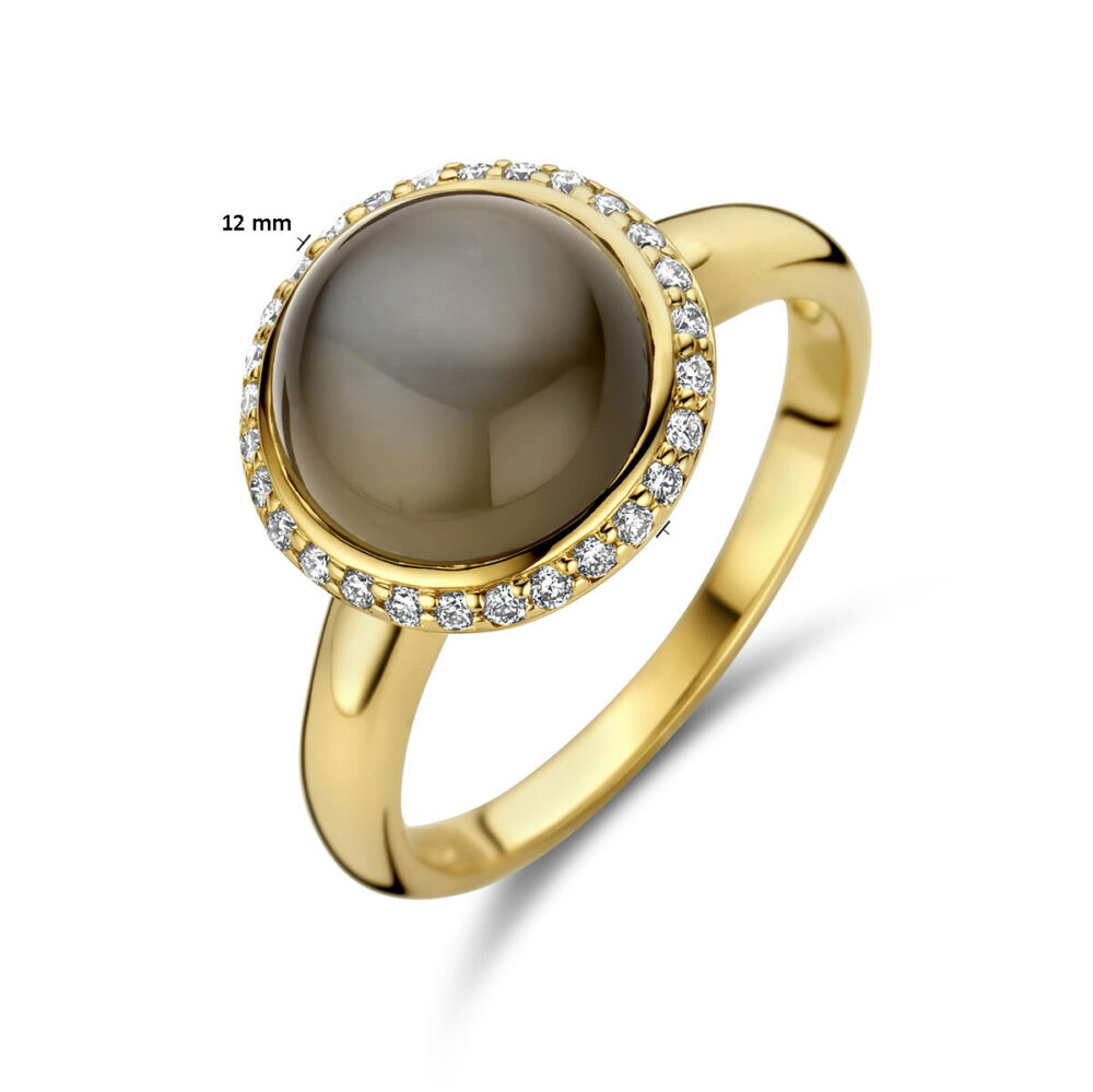 Vaessen Collection 14K Geelgouden Ring Grijs Maansteen + 0.15ct H/Si 40.27904 - Afbeelding 5