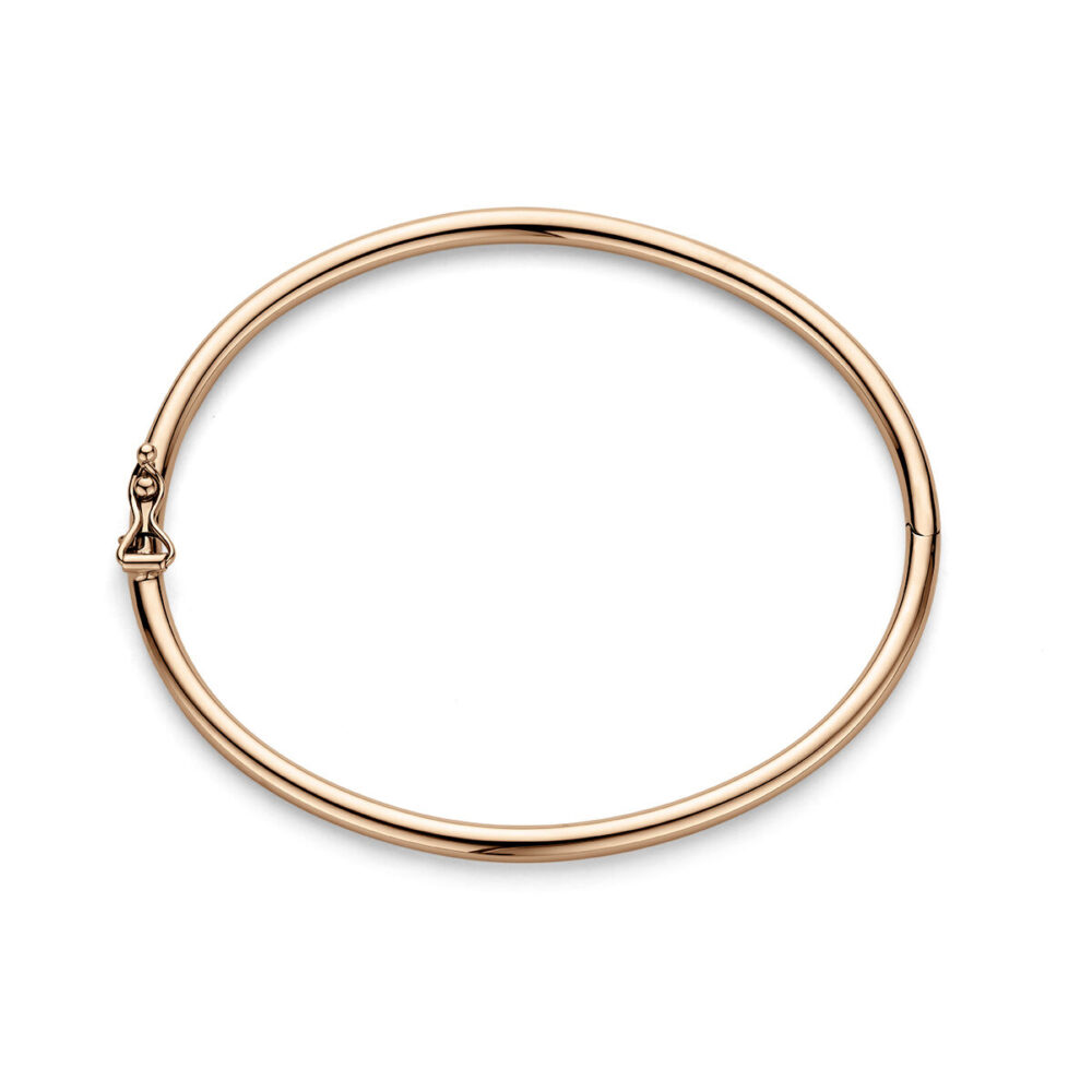 Vaessen Collection 14K Roségouden Slavenarmband 3mm Ronde Buis 44.00667 - Afbeelding 3