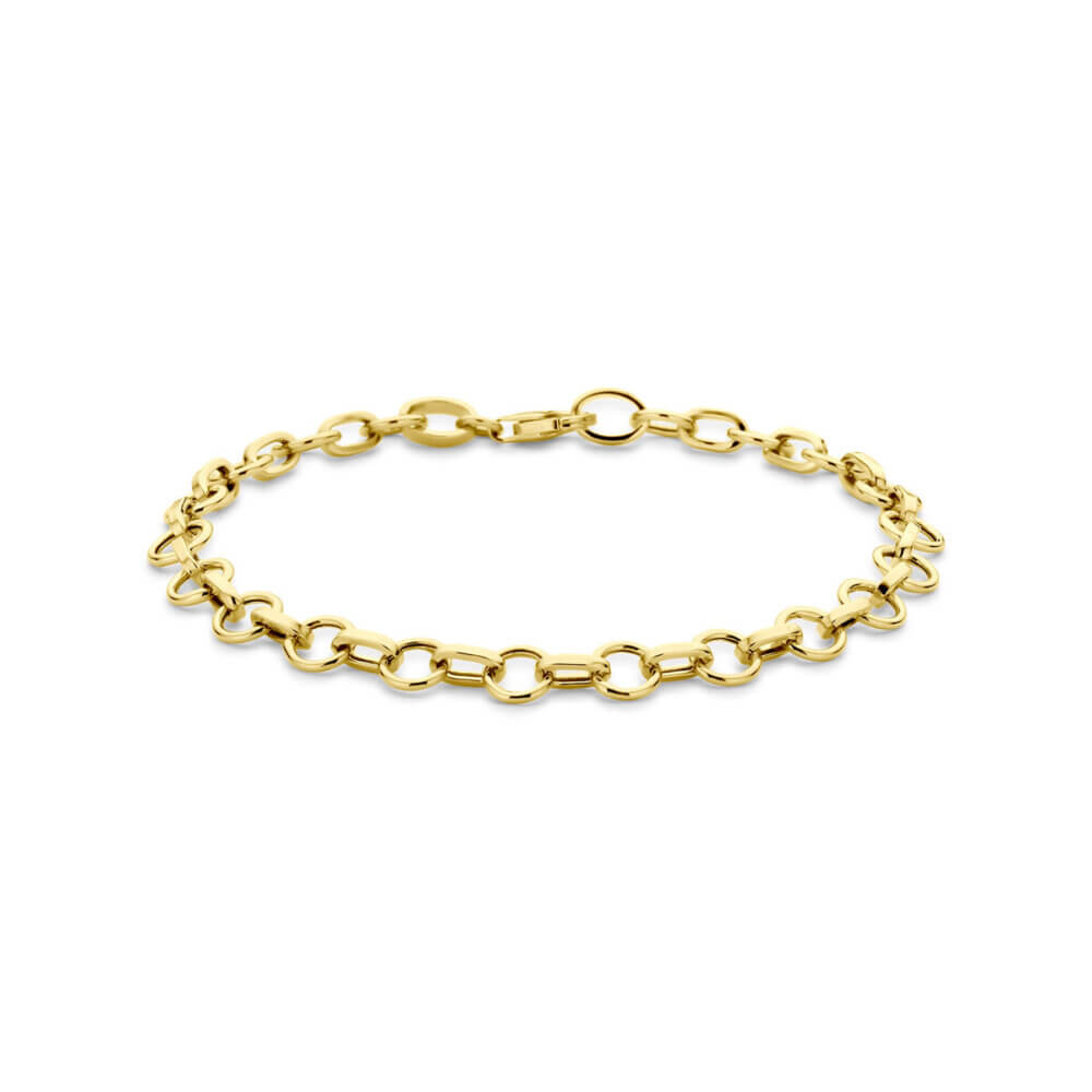 Vaessen Collection 14K Geelgouden Anker Armband 6mm/19cm 40.34931