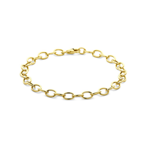 Vaessen Collection 14K Geelgouden Anker Schakelarmband 5.5mm/19cm 40.35166